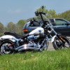 Harley-Davidson Breakout - Angel