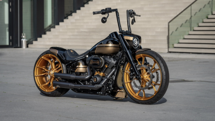 Custom Harley Davidson Fat Boy "Dark Horse" by Thunderbike
