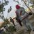 Knotch_TG