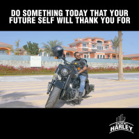 RealtoronaHarley