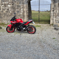 Redzed650