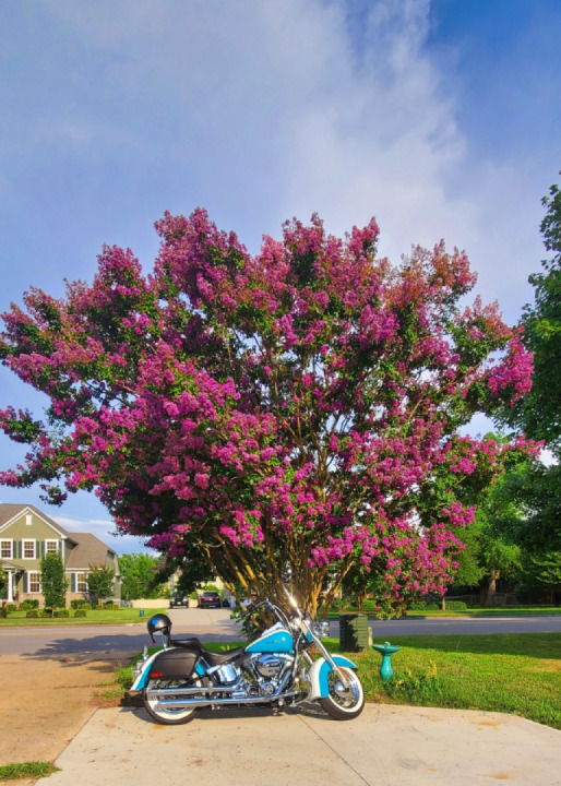 Daughter Photography