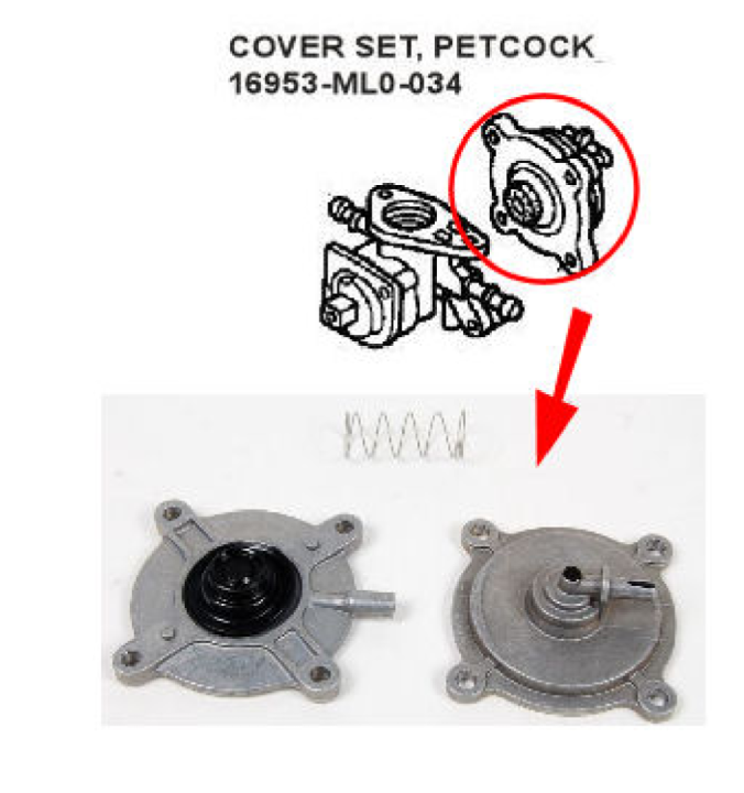 If you have a fuel petcock leaking fuel or vacuum, not opening or not closing