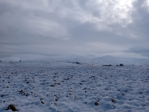 Caldbeck Common, Cumbria.