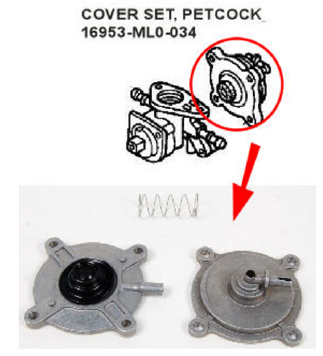 Leaking fuel petcock