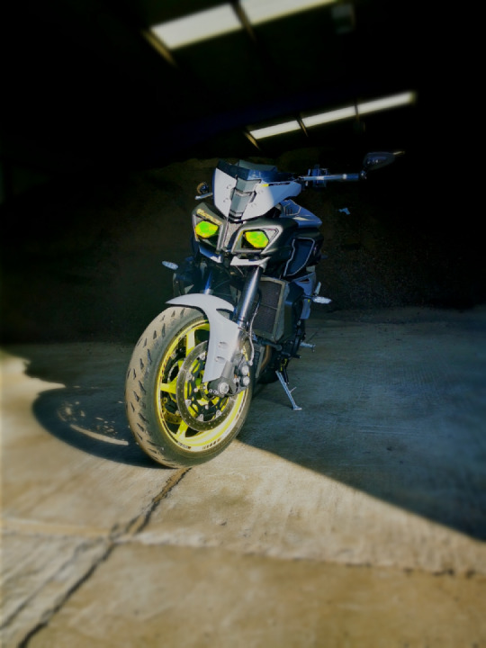 Reminiscing about the Covid Summer