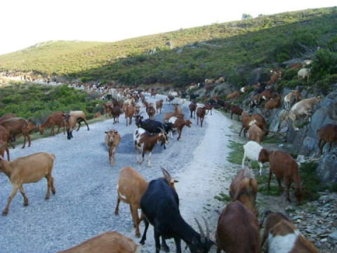 2006-09 Serra da Freita - Arouca