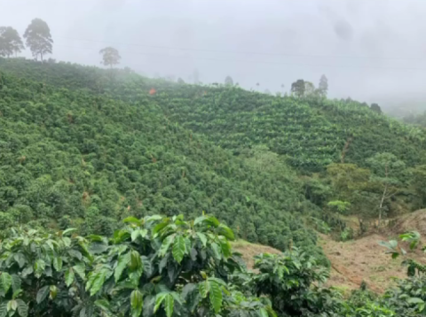 Wow I've had some amazing adventure