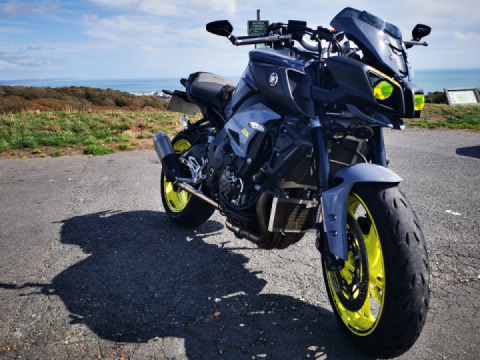 Reminiscing the Covid Summer