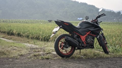 Black Red Streetfire