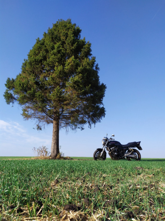 October 14,2020 Russia