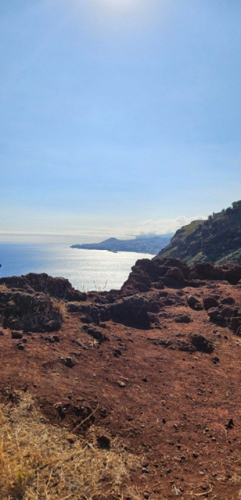Photos from my week's trip to Madeira