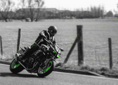 Reminiscing the Covid summer