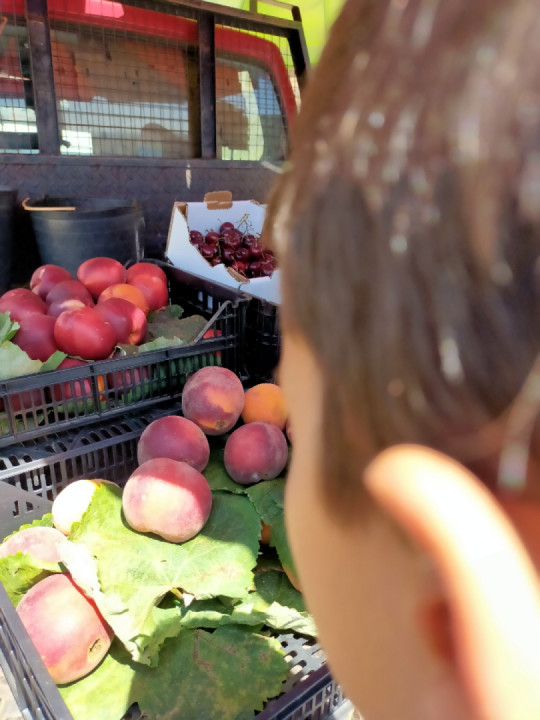 Day 1 (17.07.2023) First day of our trip. Porto - Mêda (Portugal)