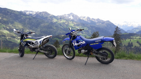 Die einzige ihrer Art?