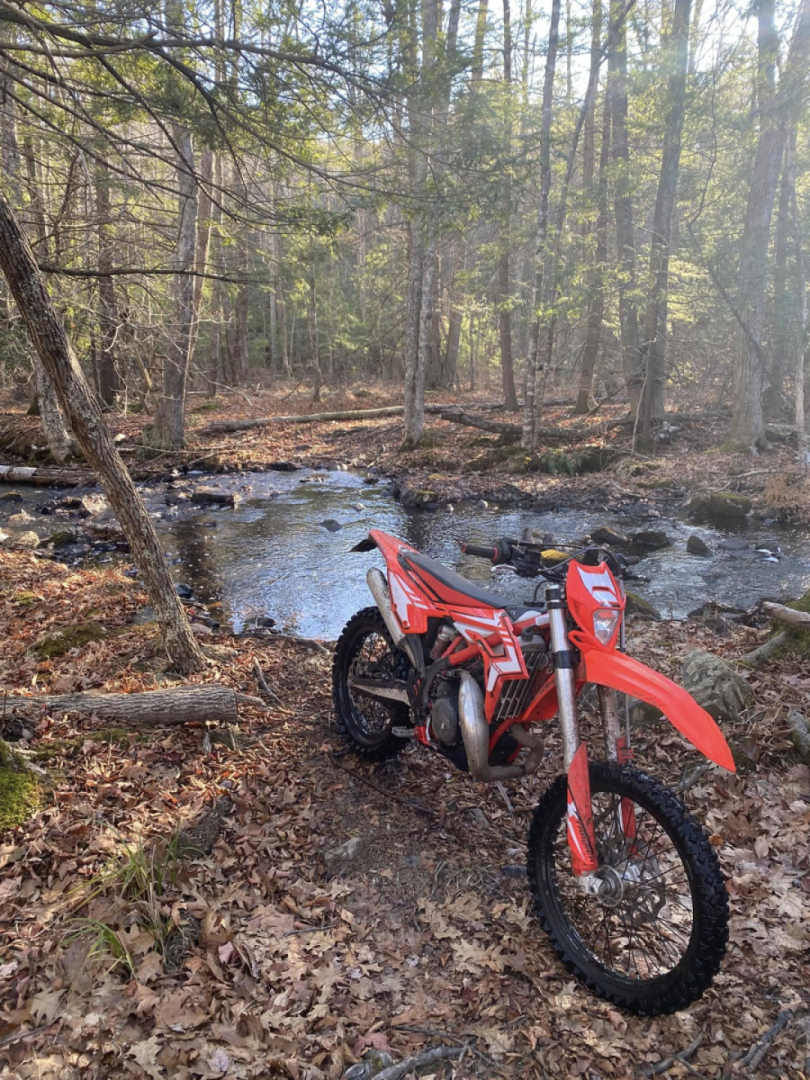 Lovely 3 hour lunch ride out in the wilds today