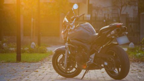 November lights can be awesome