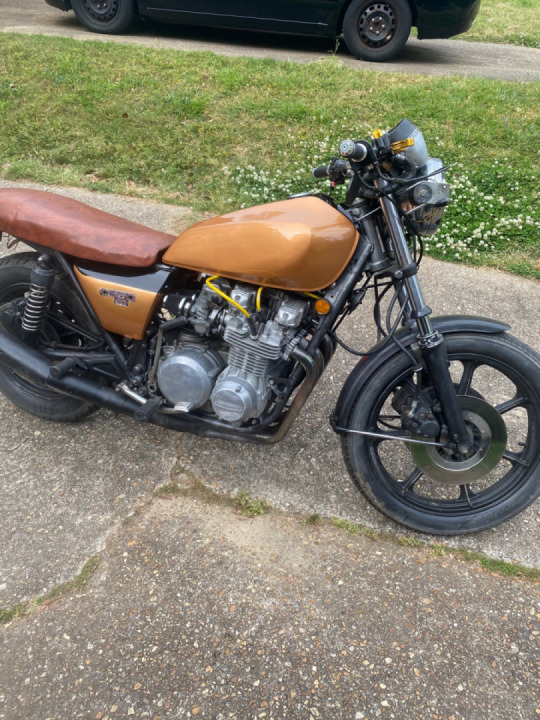 Rat to Riches looking pretty rich