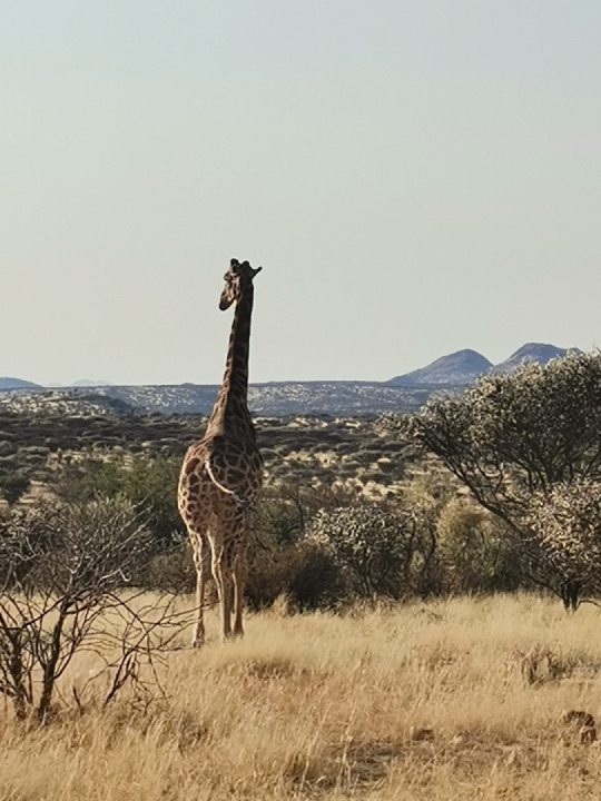 Great ride out to Gocheganas... wildlife reserve and wellness spa... Really awesome scenery