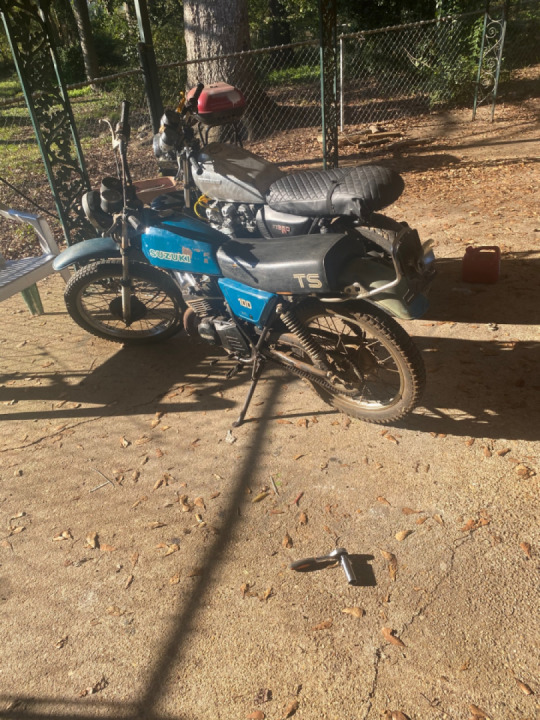 Got the Suzu to teach the girl friend to ride!