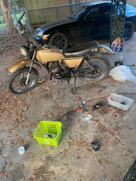 Can you say golden girls?