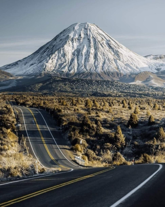 Trip to palmerston north 26 dec 2021