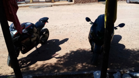 Devels pet teaching the very good 1000 cbr sum manners ?