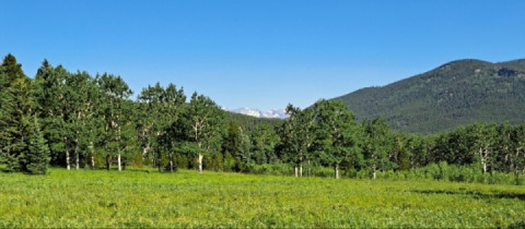 From Idaho Springs, CO to Lafayette, CO, 200 miles