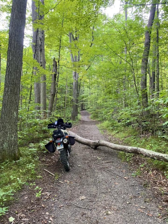 Backwoods and backroads