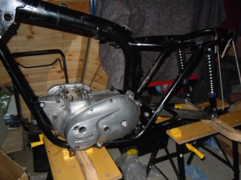 Update from my shed: