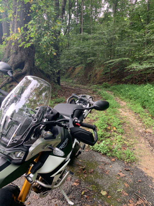 Triumph Tiger 900 Rally Pro Review