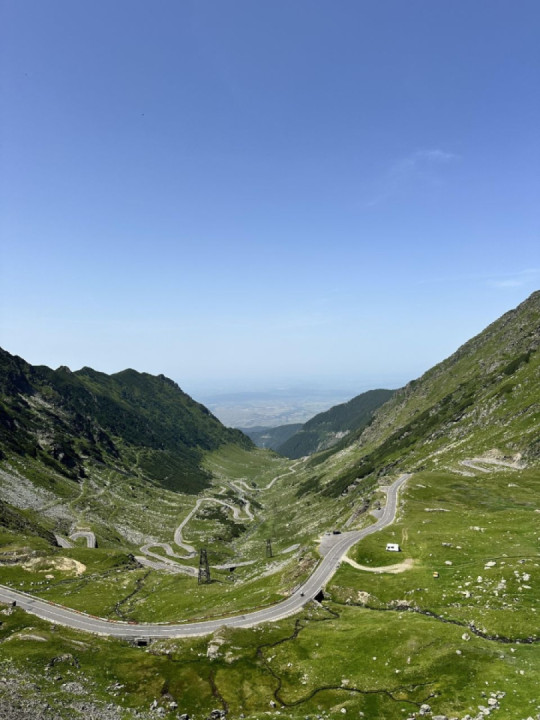 Here's my Romania trip... where I saw 7 brown bears in one day in Transfagarasan