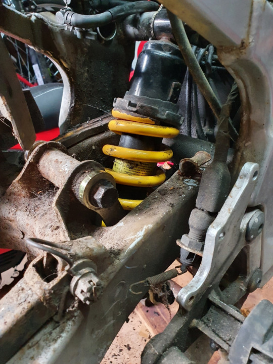 Upgraded rear shock.