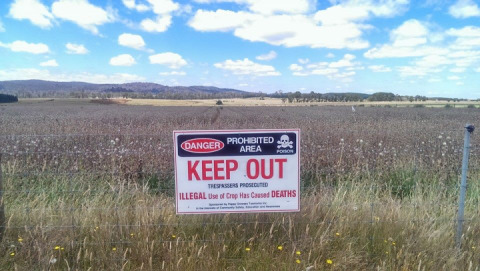 Day 47 - Bridport, Tasmania to Melbourne, Victoria - 274km