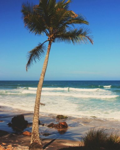 Adventures of YB125 in Brazil. Part 10