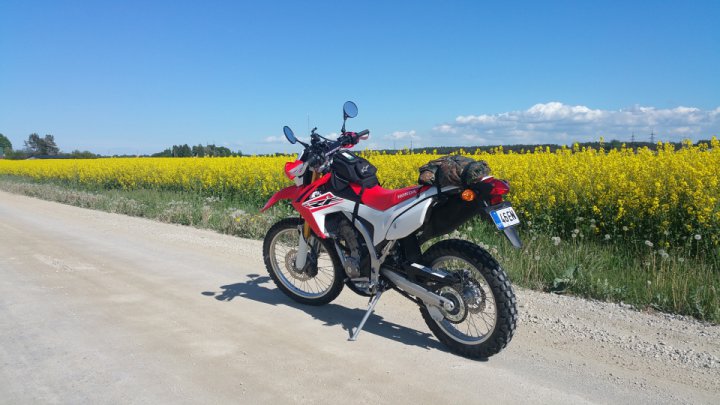 Summer on my Honda CRF250L. Photos from riding out