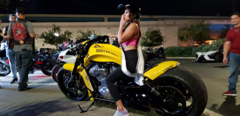 Florida Bike Nights!