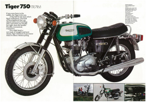 1974 Tiger are very very rare, extinct?