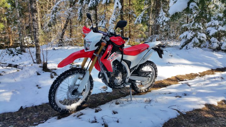 Honda CRF250L, the first enduro, forest grill and riding