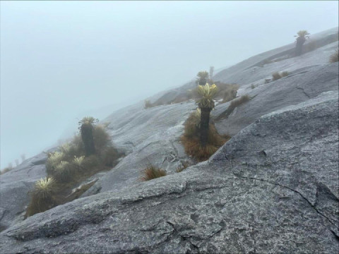 Colombia ?? - Parque Nacional Natural El Cocuy - Hike to El Pulpito del Diablo.