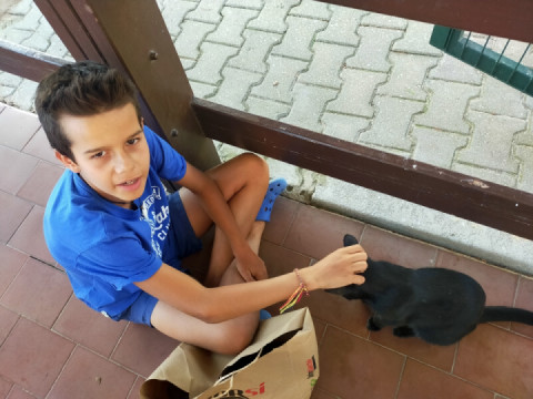 14th day (30.07.2023) - Alcácer do Sal