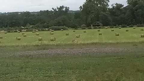 Fresh air is always good