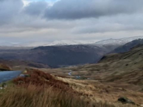 Not a lot out and about today, which was nice.