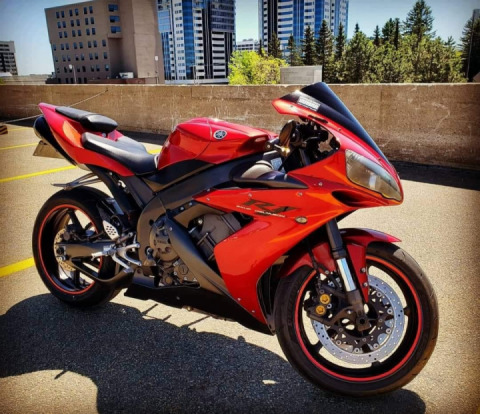 Missing the summer ?