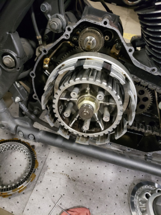 More Mayhem with Rosie