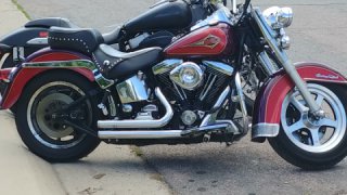 Harley-Davidson Softail Classic - Freshly Rebuilt