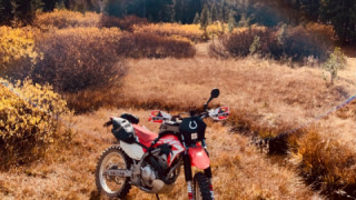 Honda CRF 250 - Freda