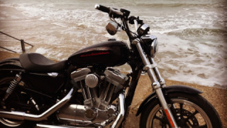 Harley-Davidson Sportster 883 - black cherry ll