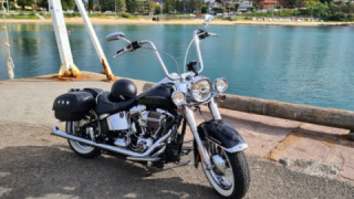 Harley-Davidson Softail Deluxe - Softy