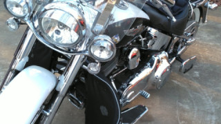 Harley-Davidson Softail Deluxe - Skunk